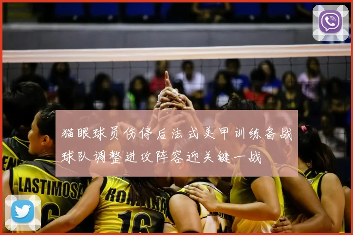 猫眼球员伤停后法式美甲训练备战球队调整进攻阵容迎关键一战