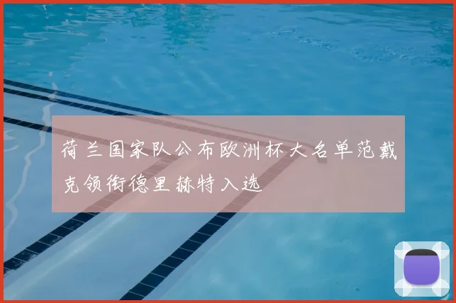 荷兰国家队公布欧洲杯大名单范戴克领衔德里赫特入选