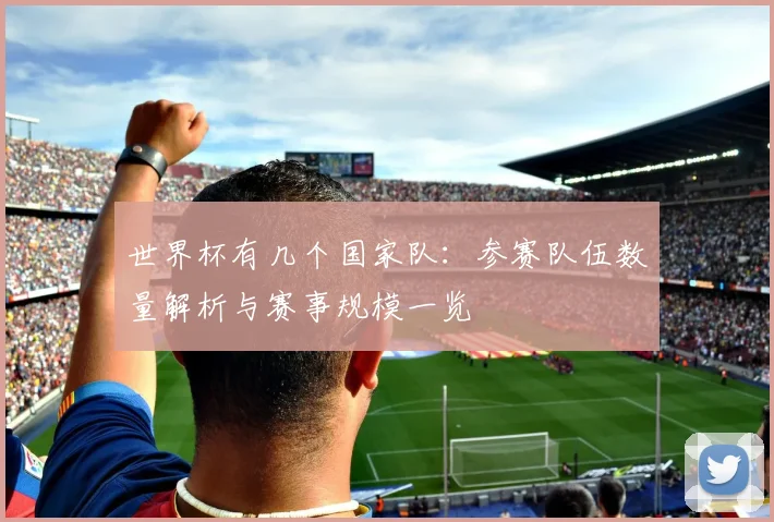 世界杯有几个国家队：参赛队伍数量解析与赛事规模一览