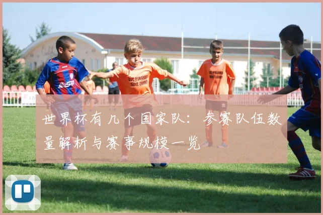世界杯有几个国家队：参赛队伍数量解析与赛事规模一览