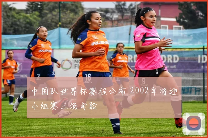 中国队世界杯赛程公布 2002年将迎小组赛三场考验